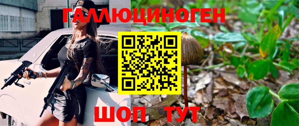 Анжеро-Судженск  Псилоцибиновые грибы GOLDEN TEACHER  Вход с VPN 