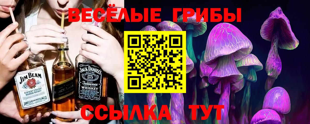 Галлюциногенные грибы GOLDEN TEACHER Анжеро-Судженск